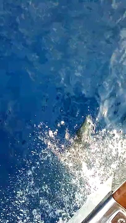 on ne s'en lasse pas