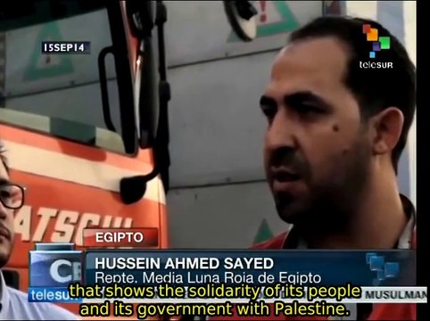 Second Venezuelan aid shipment for Palestine reaches Egypt