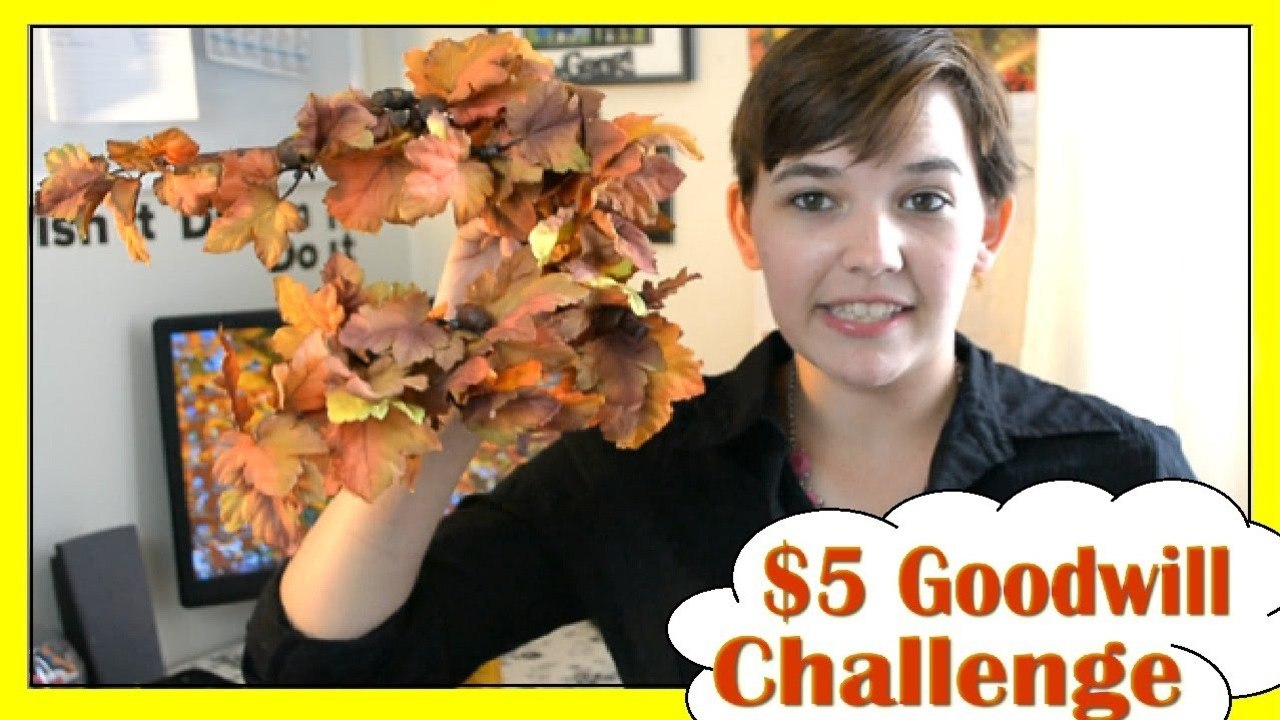 $5 Goodwill Challenge | Fall Edition