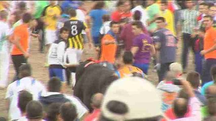 Cuatro heridos en la celebración del Toro de la Vega