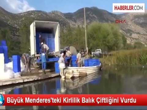 Büyük Menderes'teki Kirlilik Balık Çiftliğini Vurdu