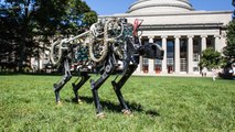 MIT’s Cheetah-Inspired Robot Goes Untethered, Is Kind Of Terrifying