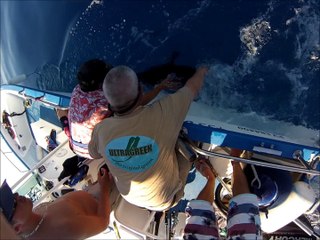 Blue Fin' Tuna _ Rush Catch Tag & Release