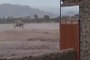 Pak Army Saving People Lives from Raging Flood in Punjab (Exclusive)