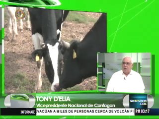 Sector agropecuario requiere $614 millones para importar maquinarias