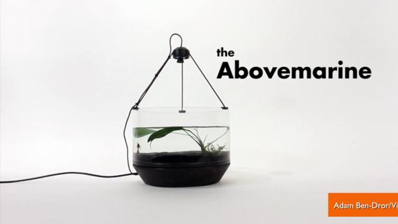 High-tech Fishbowl Lets Your Fish Get Around