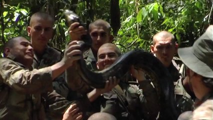 Bande-annonce : L'Homme Aux Serpents - VOST