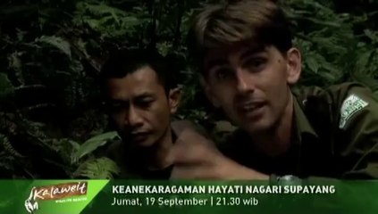Promo Episode 6 "Kalaweit Wildlife Rescue"