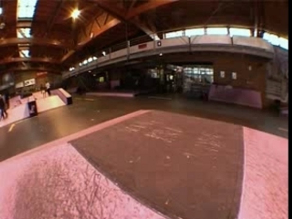 Heinrick tree skate parc gerland