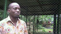 Animales abandonados por miedo al Ébola