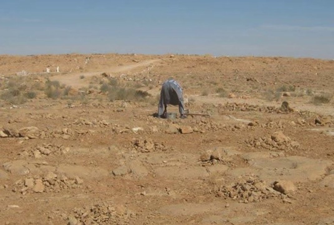قطعة ارض  للبيع المنصورية