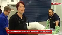 Dev yaratık bilim adamlarını şaşkına çevirdi!