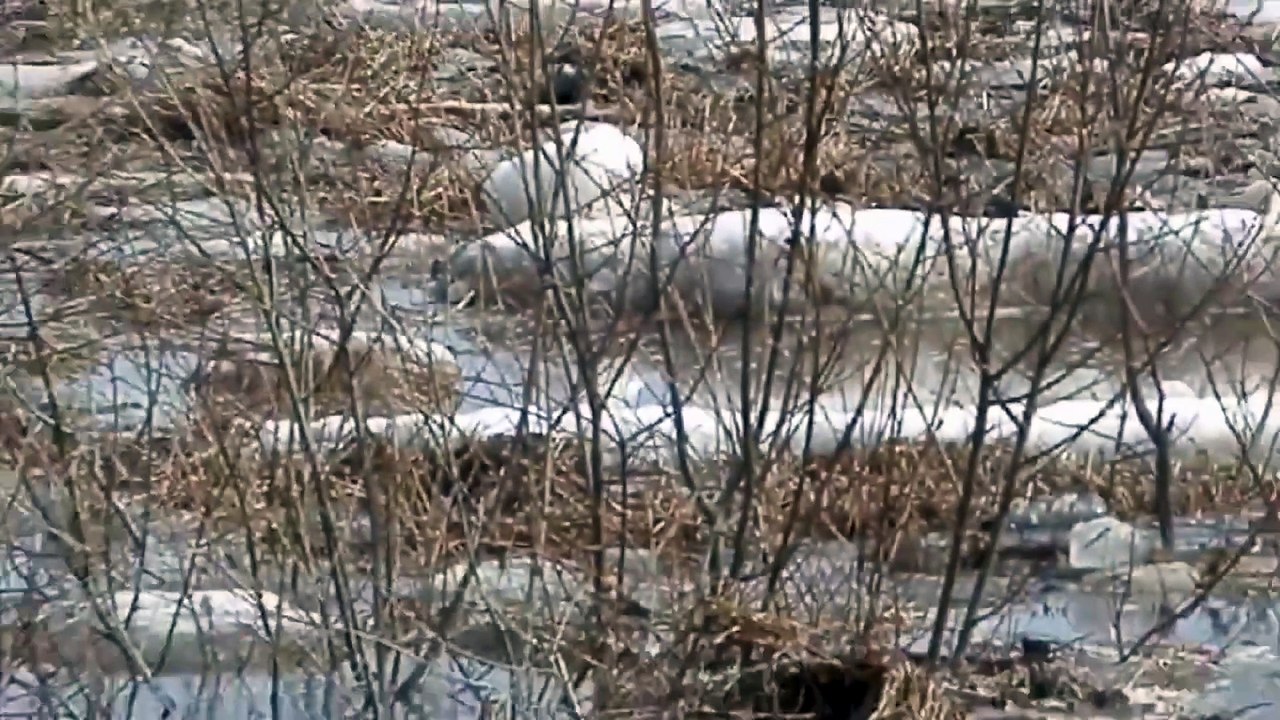 La terre aurait-elle une chasse d'eau ?
