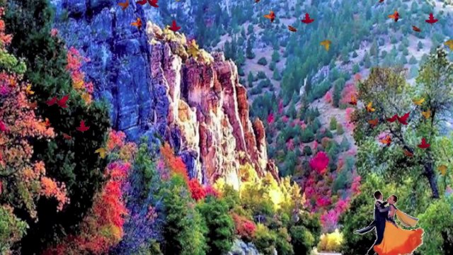 Самые красивые картинки осени. Очарование осени в самых красивых картинках