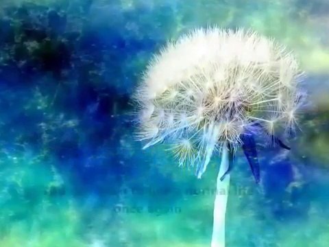 A Little About Post Traumatic Stress Disorder (PTSD)