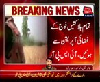 Zarb-e-Azb: Airstrikes kill 40 terrorists