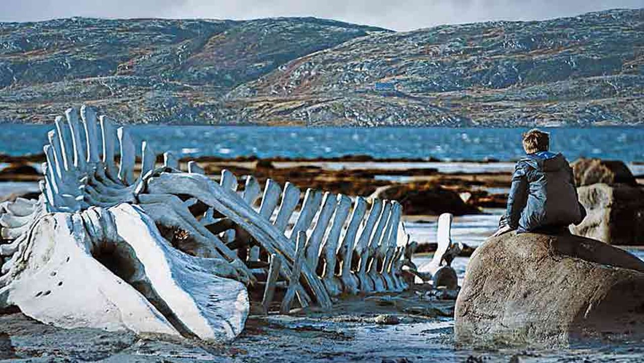 Leviathan - Bande annonce HD
