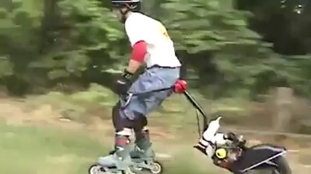 Une paire de rollers électrique