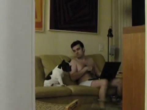 Cachorro dançando hip-hop no sofá Dog dancing hip-hop on the couch (ORIGINAL)