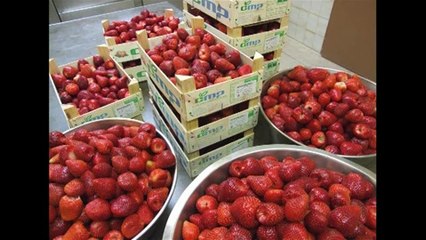 charles chavanette et les fruits confits