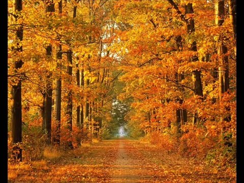 MEHDI HASSAN ( PATTA PATTA BOOTA BOOTA )