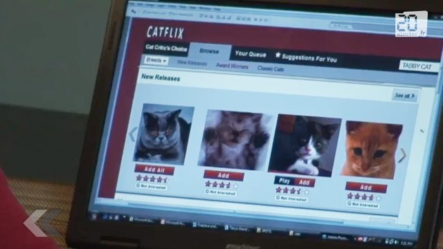 Catflix, le service de chat à la demande