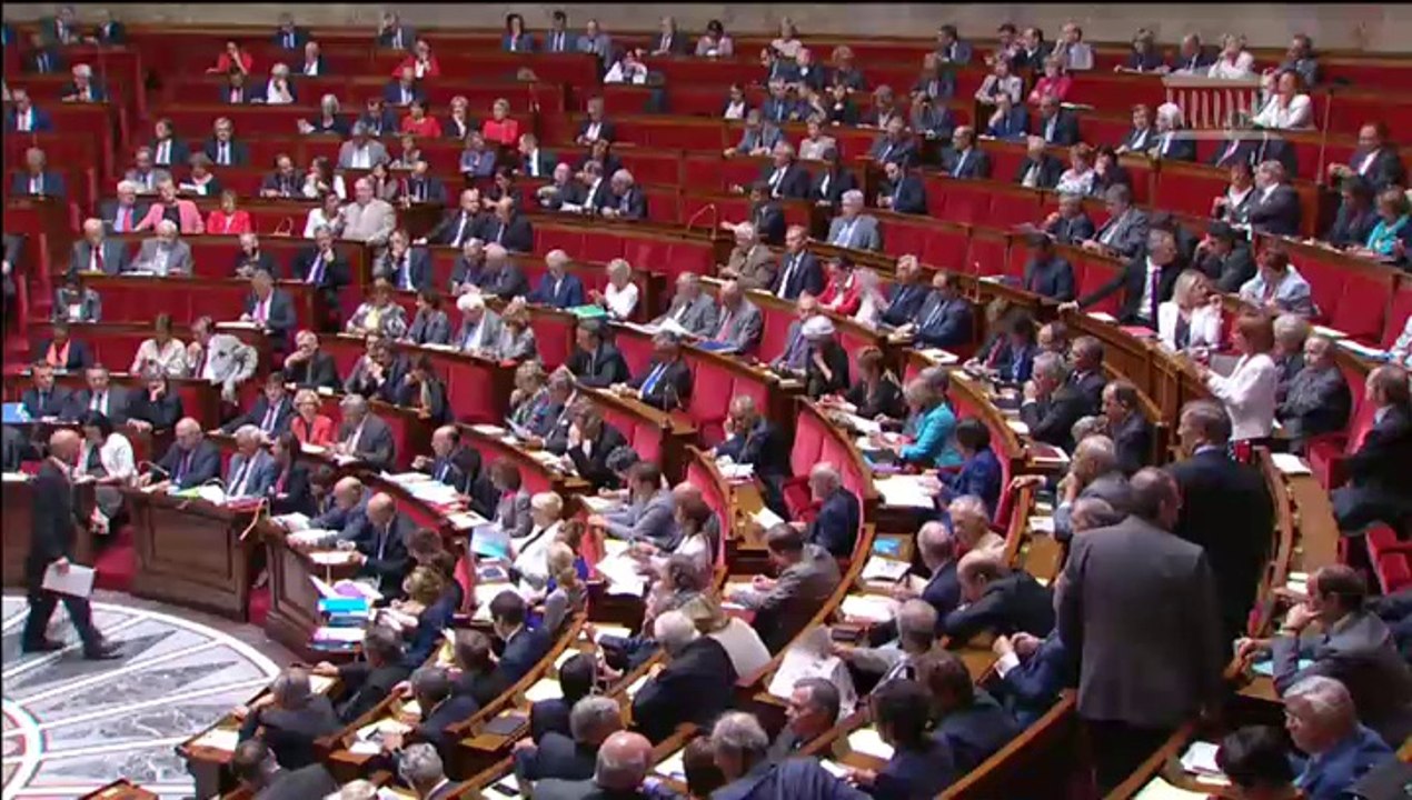 Réponse de Geneviève Fioraso à la question de Gilda Hobert