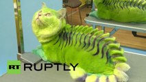 Russia: Meet Vas’ka, the green DRAGON cat