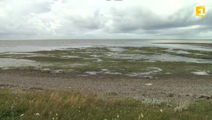 Pollution : vigilance pour les consommateurs