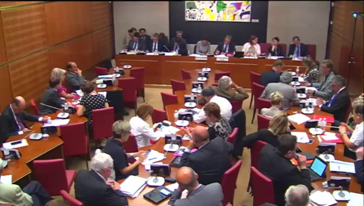 Intervention d'Hervé Féron en Commission des Affaires Culturelles et de l'Education : audition de Najat VALLAUD-BELKACEM, Ministre de l'Education Nationale