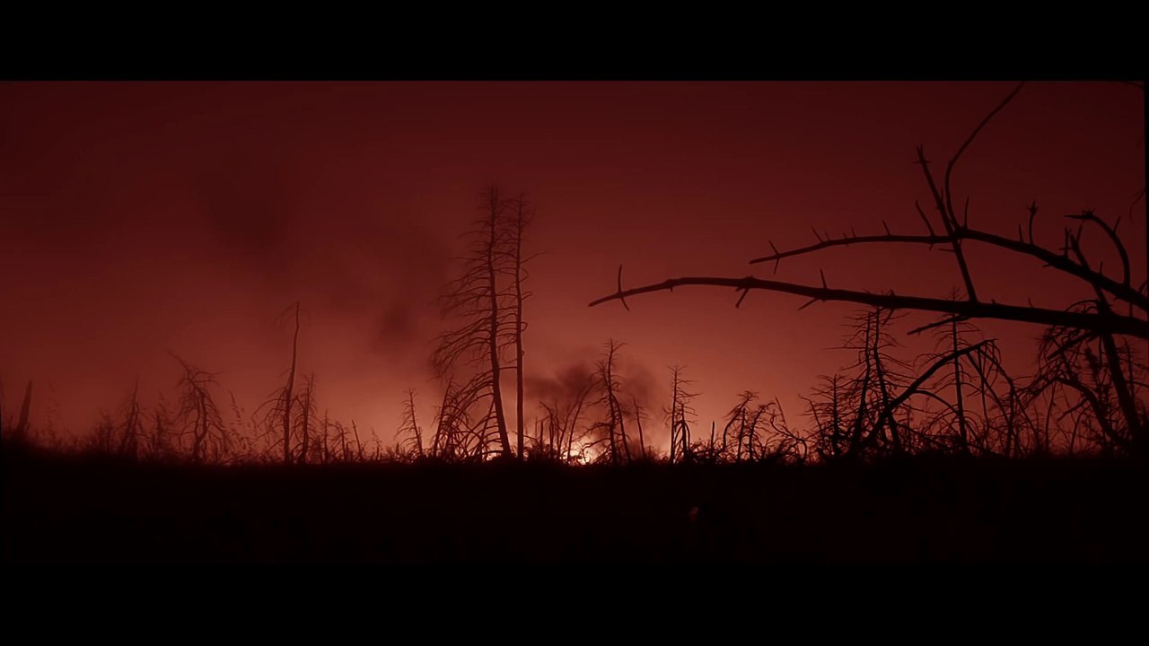 Το νέο κοινωνικό μήνυμα για τις δασικές πυρκαγιές.