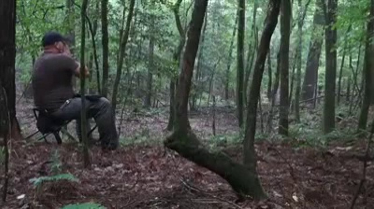 Il imite le hurlement des coyotes et eux lui répondent en retour