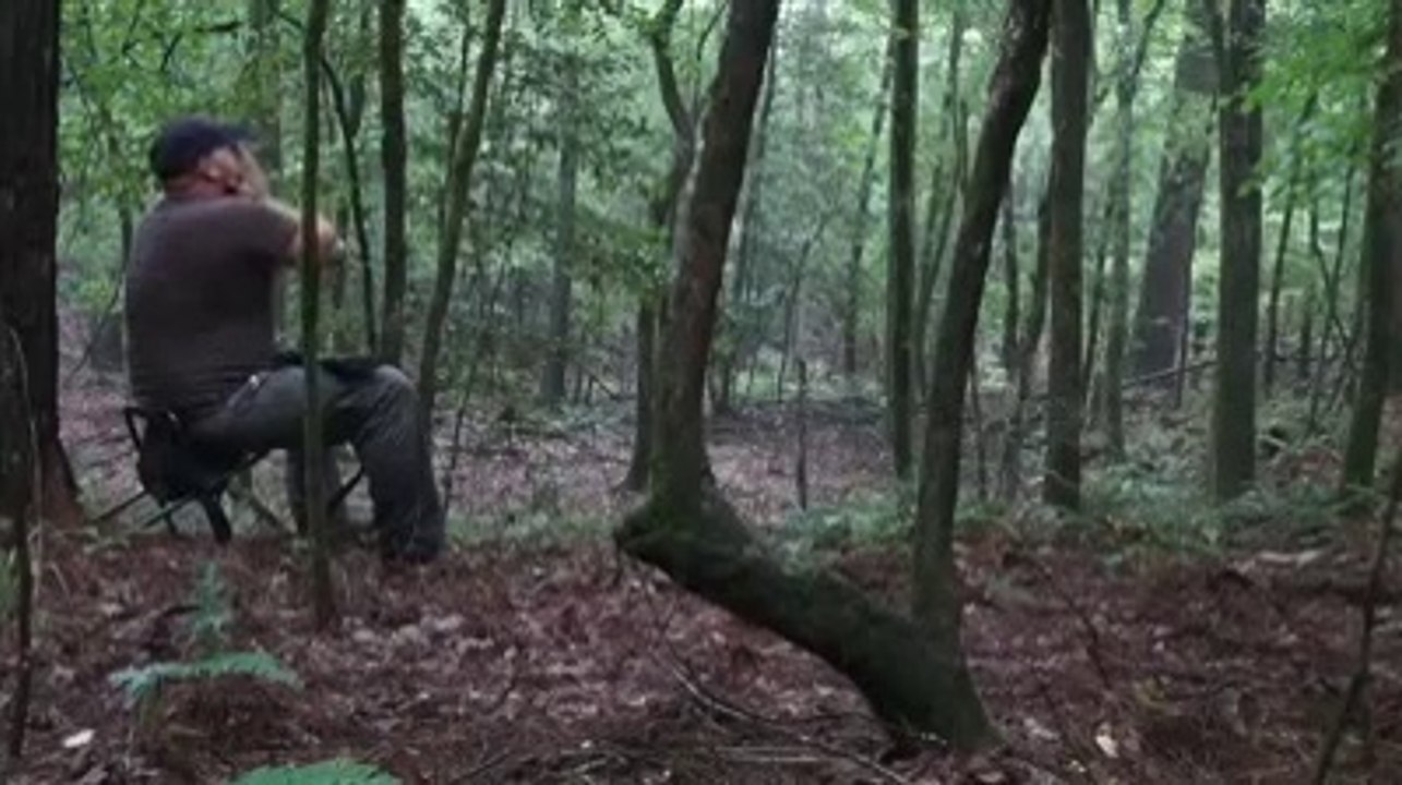 Man Howling  and Coyotes responding!