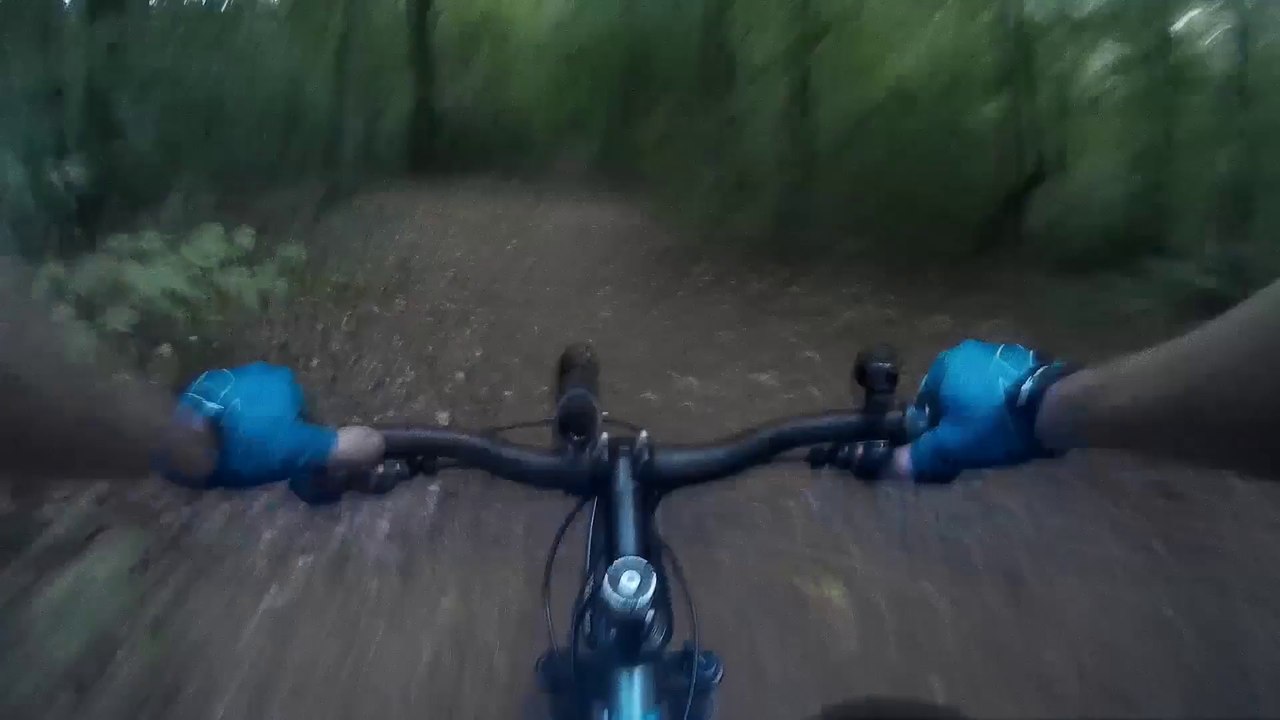 001 Rowerem przez las