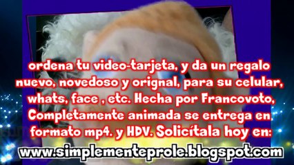 amor de perrito