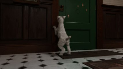 Les Aventures de Tintin : le secret de la Licorne VOST - Ext 4