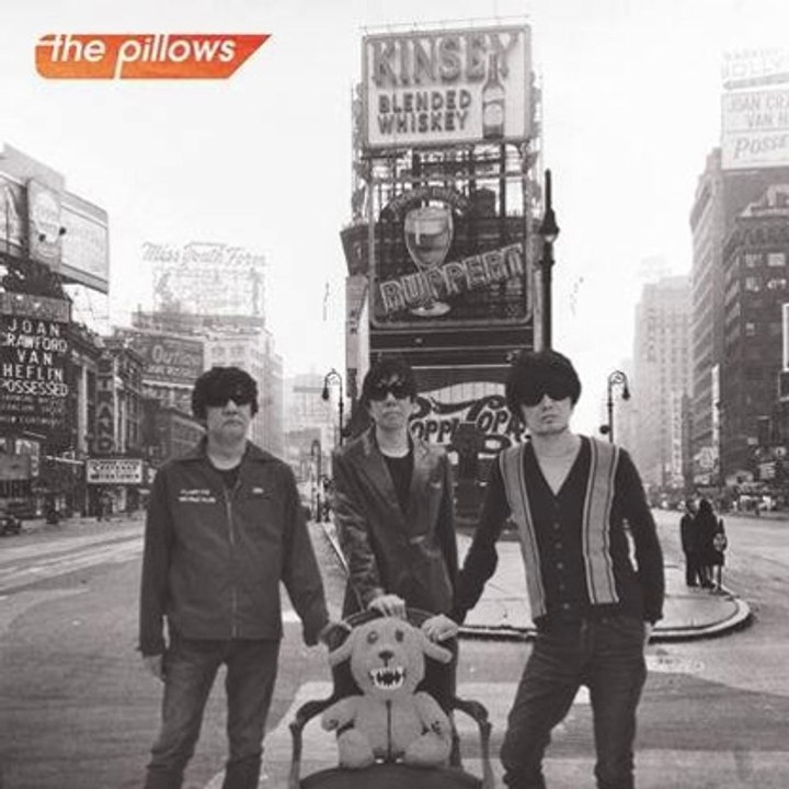 the pillows - Snoozer