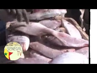 Meurtre à Jaol/Gendarme Gora Diop écope de 5 ans ferme