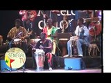 Doudou Ndiaye Rose Junior opte pour la danse et les percussions