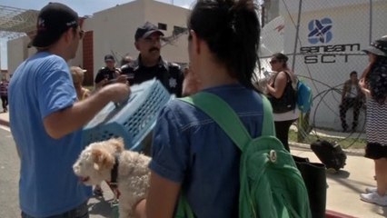 "Hot, tired, and want to come home" -- American tourist leaving Mexico