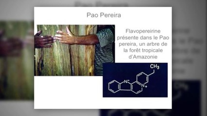 bienêtreaujus cancer entretien avec Monique Beljanski