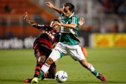 Palmeiras arranca empate com o Flamengo, mas entra no Z4