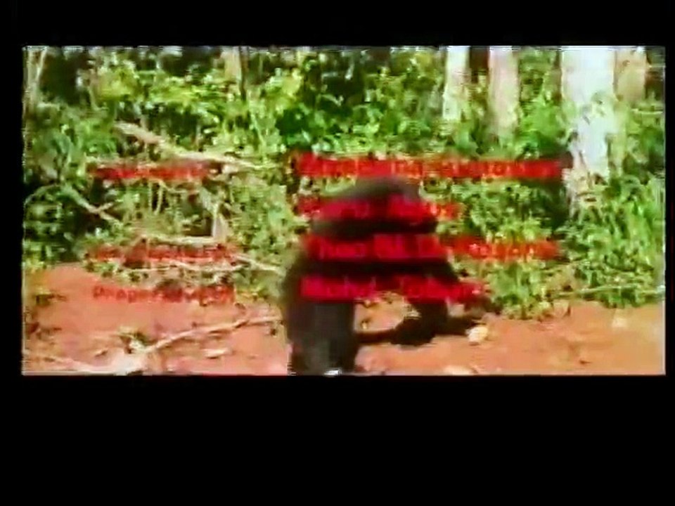 Jungle Force 