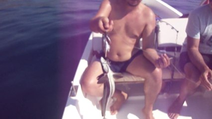 AKYA OLTASI ILE KILAVUZ BALIGI AVI - www.adrasanbalik.com