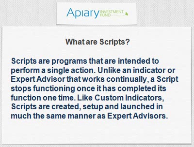 Become an expert currency trader with Apiary Fund