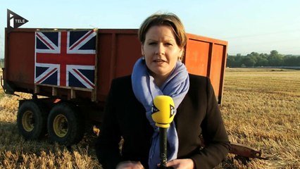 Ecosse : Independance Day ?