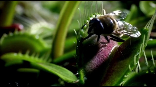 Doğanın İnanılmaz Güzelliği Kesinlikle İzleyin