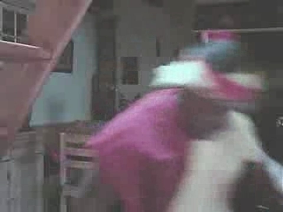 Alcoolic red tigers lens