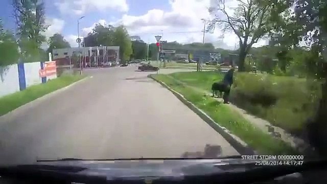Un motard atterrit sur deux voitures !