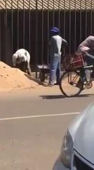 Ces hommes sont plein de bon sens !